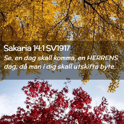 Picture 02 - Sakaria 14:1 SV1917 - Se, en dag skall komma, en HERRENS dag, då man i - Bible Verse Picture
