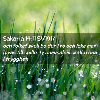 Picture 02 - Sakaria 14:11 SV1917 - och folket skall bo där i ro och icke mer givas - Bible Verse Picture