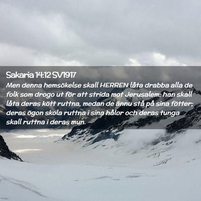 Picture 02 - Sakaria 14:12 SV1917 - Men denna hemsökelse skall HERREN låta drabba - Bible Verse Picture