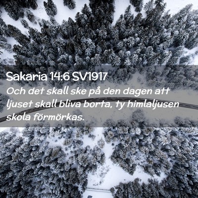 Picture 02 - Sakaria 14:6 SV1917 - Och det skall ske på den dagen att ljuset skall - Bible Verse Picture