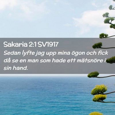 Picture 02 - Sakaria 2:1 SV1917 - Sedan lyfte jag upp mina ögon och fick då se en - Bible Verse Picture