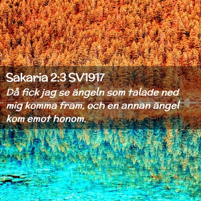 Picture 02 - Sakaria 2:3 SV1917 - Då fick jag se ängeln som talade ned mig komma - Bible Verse Picture