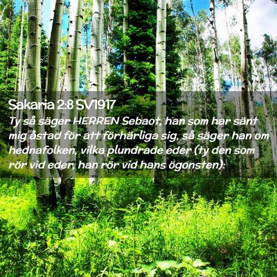 Picture 02 - Sakaria 2:8 SV1917 - Ty så säger HERREN Sebaot, han som har sänt - Bible Verse Picture