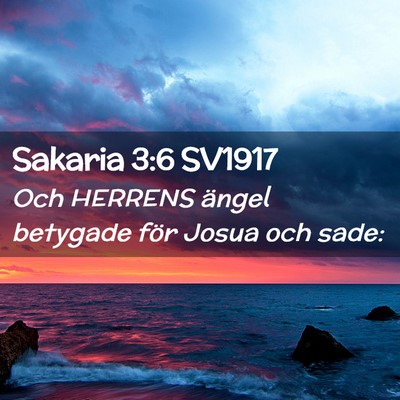 Picture 02 - Sakaria 3:6 SV1917 - Och HERRENS ängel betygade för Josua och - Bible Verse Picture