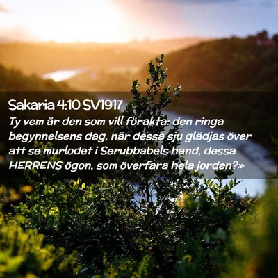 Picture 02 - Sakaria 4:10 SV1917 - Ty vem är den som vill förakta: den ringa - Bible Verse Picture