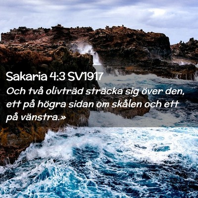 Picture 02 - Sakaria 4:3 SV1917 - Och två olivträd sträcka sig över den, ett - Bible Verse Picture