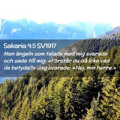 Picture 02 - Sakaria 4:5 SV1917 - Men ängeln som talade med mig svarade och sade - Bible Verse Picture