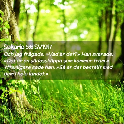 Picture 02 - Sakaria 5:6 SV1917 - Och jag frågade: »Vad är det?» Han svarade: - Bible Verse Picture