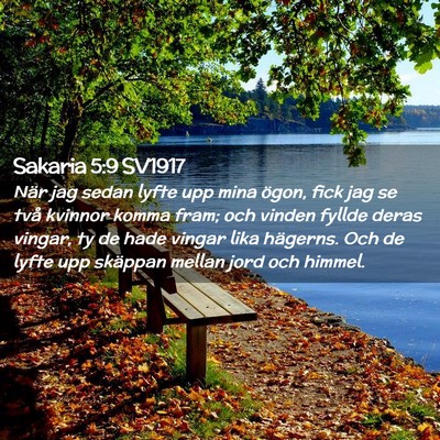 Picture 02 - Sakaria 5:9 SV1917 - När jag sedan lyfte upp mina ögon, fick jag se - Bible Verse Picture