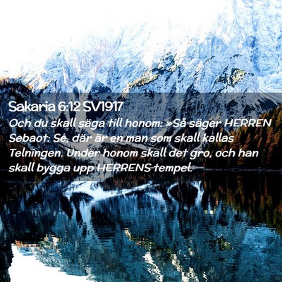 Picture 02 - Sakaria 6:12 SV1917 - Och du skall säga till honom: »Så säger - Bible Verse Picture