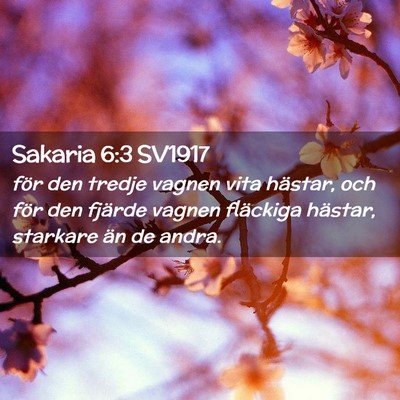 Picture 02 - Sakaria 6:3 SV1917 - för den tredje vagnen vita hästar, och för den - Bible Verse Picture