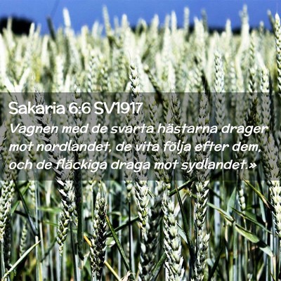 Picture 02 - Sakaria 6:6 SV1917 - Vagnen med de svarta hästarna drager mot - Bible Verse Picture