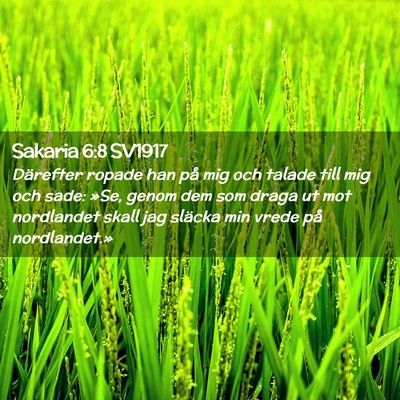 Picture 02 - Sakaria 6:8 SV1917 - Därefter ropade han på mig och talade till mig - Bible Verse Picture