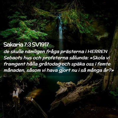 Picture 02 - Sakaria 7:3 SV1917 - de skulle nämligen fråga prästerna i HERREN - Bible Verse Picture