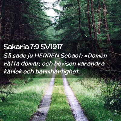 Picture 02 - Sakaria 7:9 SV1917 - Så sade ju HERREN Sebaot: »Dömen rätta domar, - Bible Verse Picture