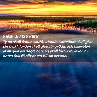 Picture 02 - Sakaria 8:12 SV1917 - Ty nu skall friden skaffa utsäde, vinträdet - Bible Verse Picture