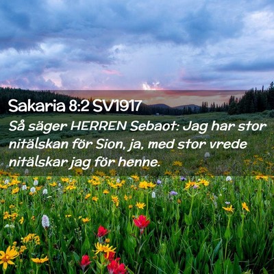 Picture 02 - Sakaria 8:2 SV1917 - Så säger HERREN Sebaot: Jag har stor nitälskan - Bible Verse Picture