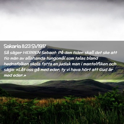 Picture 02 - Sakaria 8:23 SV1917 - Så säger HERREN Sebaot: På den tiden skall det - Bible Verse Picture