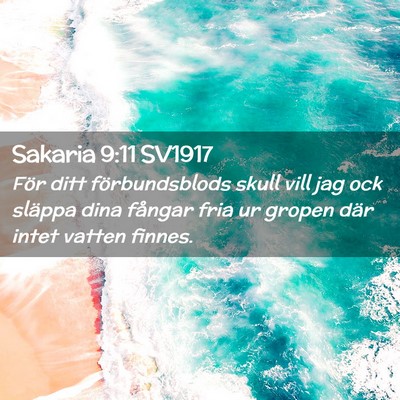 Picture 02 - Sakaria 9:11 SV1917 - För ditt förbundsblods skull vill jag ock - Bible Verse Picture