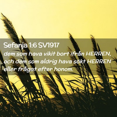 Picture 02 - Sefanja 1:6 SV1917 - dem som hava vikit bort ifrån HERREN, och dem - Bible Verse Picture