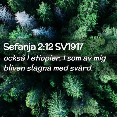 Picture 02 - Sefanja 2:12 SV1917 - också I etiopier, I som av mig bliven slagna med - Bible Verse Picture