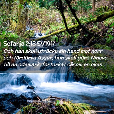 Picture 02 - Sefanja 2:13 SV1917 - Och han skall uträcka sin hand mot norr och - Bible Verse Picture