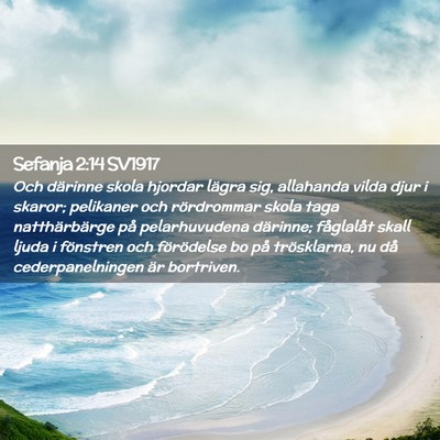 Picture 02 - Sefanja 2:14 SV1917 - Och därinne skola hjordar lägra sig, allahanda - Bible Verse Picture