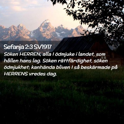 Picture 02 - Sefanja 2:3 SV1917 - Söken HERREN, alla I ödmjuke i landet, som - Bible Verse Picture