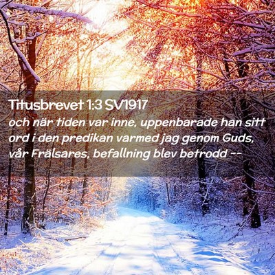 Picture 02 - Titusbrevet 1:3 SV1917 - och när tiden var inne, uppenbarade han sitt ord - Bible Verse Picture