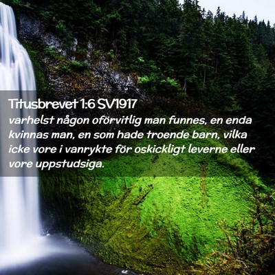 Picture 02 - Titusbrevet 1:6 SV1917 - varhelst någon oförvitlig man funnes, en enda - Bible Verse Picture