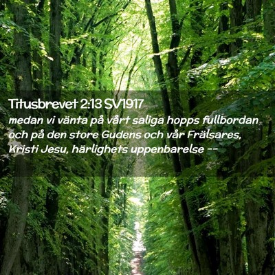 Picture 02 - Titusbrevet 2:13 SV1917 - medan vi vänta på vårt saliga hopps fullbordan - Bible Verse Picture