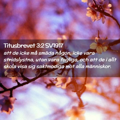 Picture 02 - Titusbrevet 3:2 SV1917 - att de icke må smäda någon, icke vara - Bible Verse Picture