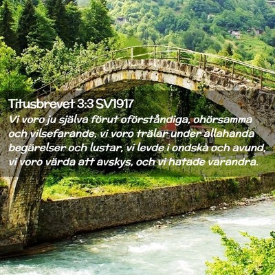 Picture 02 - Titusbrevet 3:3 SV1917 - Vi voro ju själva förut oförståndiga, - Bible Verse Picture