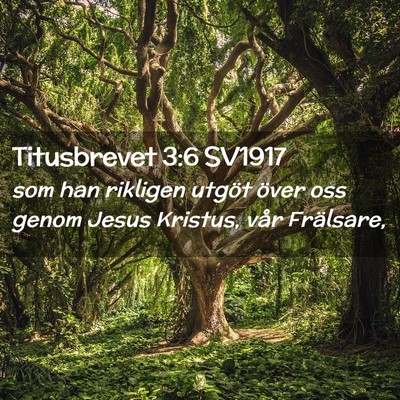 Picture 02 - Titusbrevet 3:6 SV1917 - som han rikligen utgöt över oss genom Jesus - Bible Verse Picture