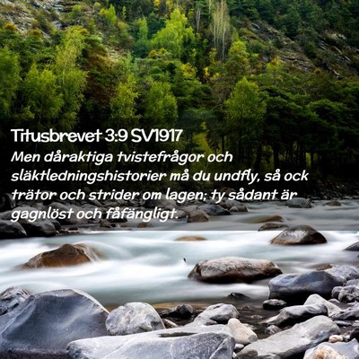 Picture 02 - Titusbrevet 3:9 SV1917 - Men dåraktiga tvistefrågor och - Bible Verse Picture