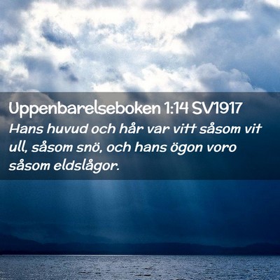 Picture 02 - Uppenbarelseboken 1:14 SV1917 - Hans huvud och hår var vitt såsom vit ull, - Bible Verse Picture