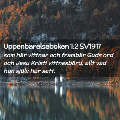 Picture 02 - Uppenbarelseboken 1:2 SV1917 - som här vittnar och frambär Guds ord och Jesu - Bible Verse Picture