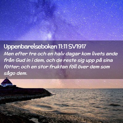 Picture 02 - Uppenbarelseboken 11:11 SV1917 - Men efter tre och en halv dagar kom livets ande - Bible Verse Picture