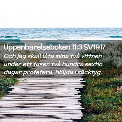Picture 02 - Uppenbarelseboken 11:3 SV1917 - Och jag skall låta mina två vittnen under ett - Bible Verse Picture