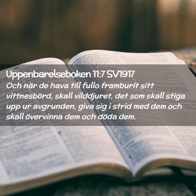 Picture 02 - Uppenbarelseboken 11:7 SV1917 - Och när de hava till fullo framburit sitt - Bible Verse Picture