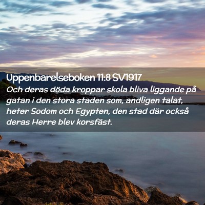 Picture 02 - Uppenbarelseboken 11:8 SV1917 - Och deras döda kroppar skola bliva liggande på - Bible Verse Picture