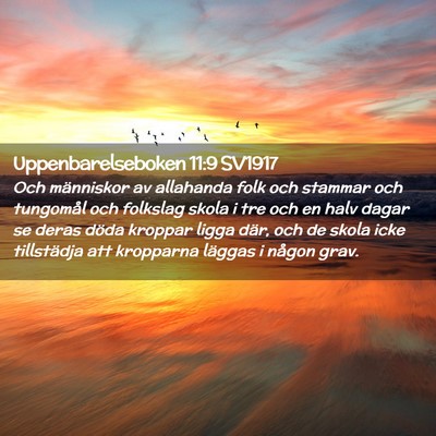Picture 02 - Uppenbarelseboken 11:9 SV1917 - Och människor av allahanda folk och stammar och - Bible Verse Picture