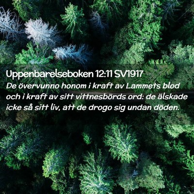 Picture 02 - Uppenbarelseboken 12:11 SV1917 - De övervunno honom i kraft av Lammets blod och i - Bible Verse Picture