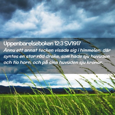 Picture 02 - Uppenbarelseboken 12:3 SV1917 - Ännu ett annat tecken visade sig i himmelen: - Bible Verse Picture