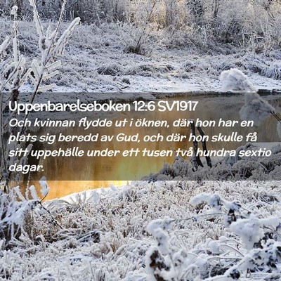Picture 02 - Uppenbarelseboken 12:6 SV1917 - Och kvinnan flydde ut i öknen, där hon har en - Bible Verse Picture