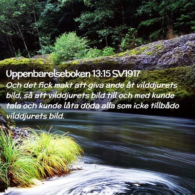Picture 02 - Uppenbarelseboken 13:15 SV1917 - Och det fick makt att giva ande åt vilddjurets - Bible Verse Picture