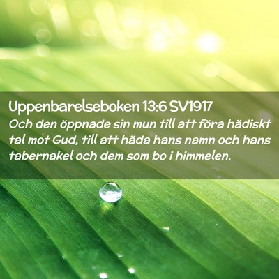 Picture 02 - Uppenbarelseboken 13:6 SV1917 - Och den öppnade sin mun till att föra hädiskt - Bible Verse Picture