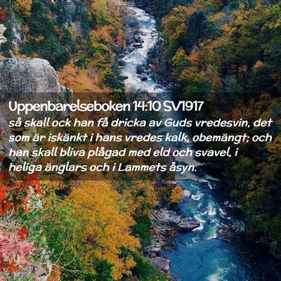 Picture 02 - Uppenbarelseboken 14:10 SV1917 - så skall ock han få dricka av Guds vredesvin, - Bible Verse Picture