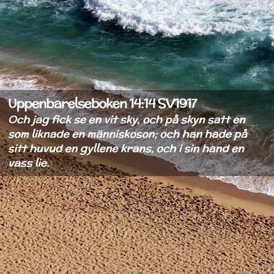 Picture 02 - Uppenbarelseboken 14:14 SV1917 - Och jag fick se en vit sky, och på skyn satt en - Bible Verse Picture