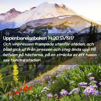Picture 02 - Uppenbarelseboken 14:20 SV1917 - Och vinpressen trampade utanför staden, och blod - Bible Verse Picture